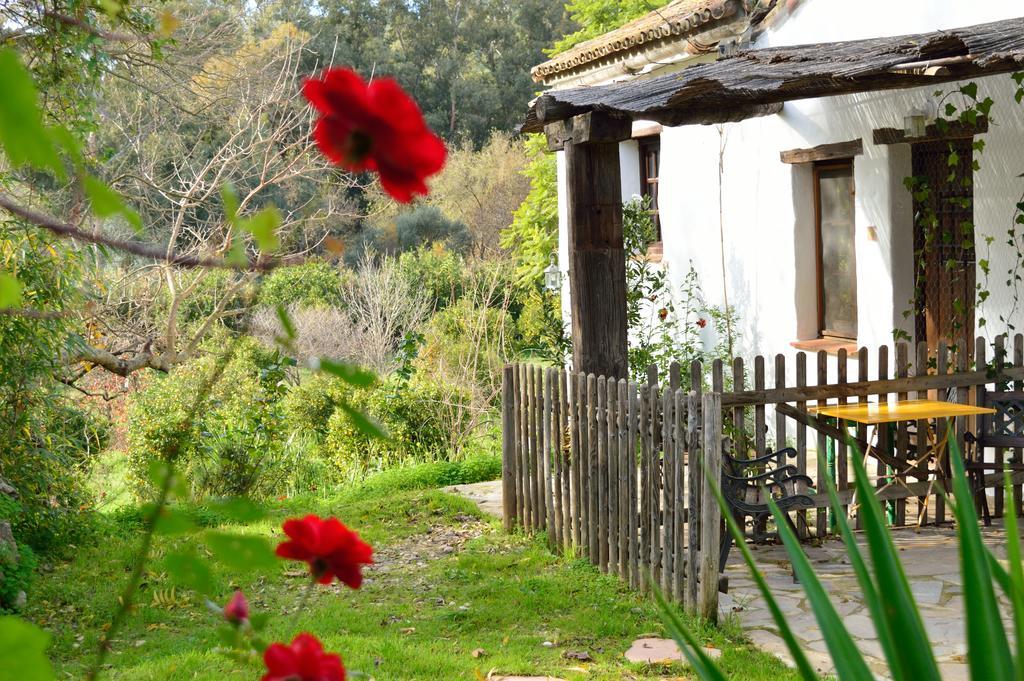 Гостевой дом Casa Rural Ahoraya Эль-Кольменар Экстерьер фото